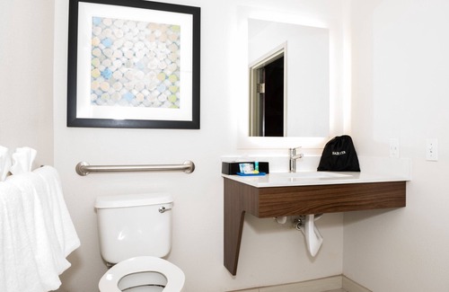 Bearss Plaza Hotel | Holiday Inn Express & Suites Tampa USF Busch Gardens by IHG