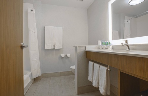 Boise Hotel | Holiday Inn Express & Suites Boise Airport by IHG