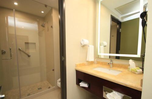 Leon Hotel | Holiday Inn Leon by IHG
