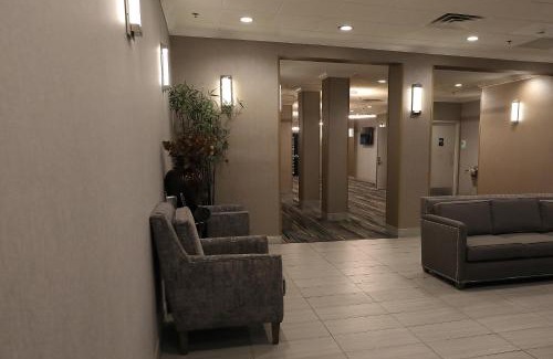 O'Hare Hotel | Holiday Inn O'Hare Area by IHG