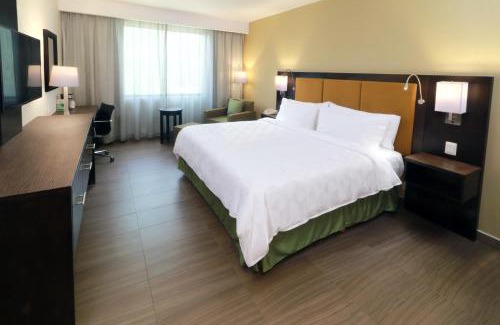 Tampico Hotel | Holiday Inn Tampico-Altamira by IHG