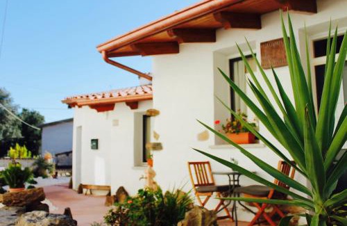 Atzara Apartment | Holiday Mandrolisai DOC