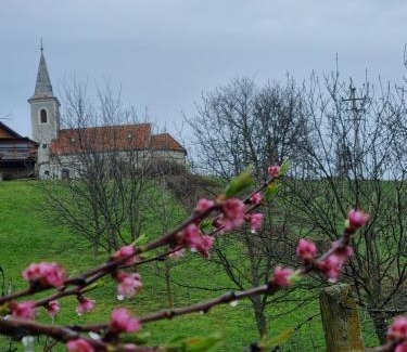 Sveti Ivan Zelina House | Holiday Old stone house