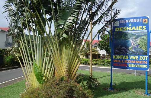 Rifflet Apartment | Holiday rental "AUTHENTICITY and CONVIVIALITY" in DESHAIES GUADELOUPE