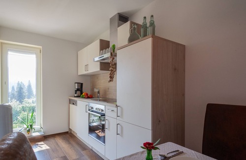 Ludwigsthal House | Holidays for the whole family at Falkenstein Bavarian Forest National Park Center.