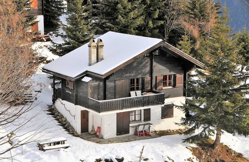 Bettmeralp Apartment | Holidays in the Aletsch Arena at the Aletsch Glacier in the Unesco World Natural