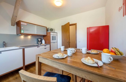 Rappin Apartment | Holsteinhaus-Zirmoisel: peace and quiet Nature, Sauna/Danarium - Holsteinhaus-Zirmoisel