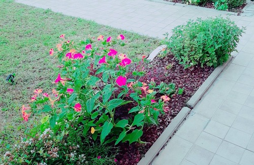 Cigole House | HOLYDAY HOME in brescia in italy