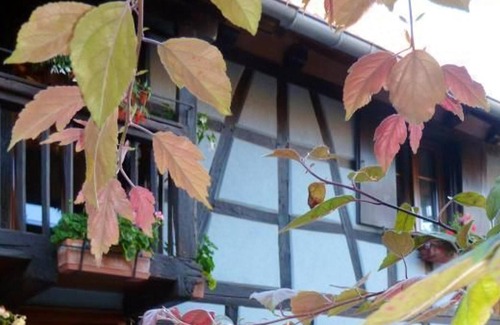 Wingersheim House | Homerez - Amazing house for 5 ppl. at Wingersheim-les-Quatre-Bans