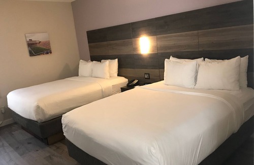 Gainesville Hotel | HOM Hotel Gainesville, SureStay Collection by Best Western