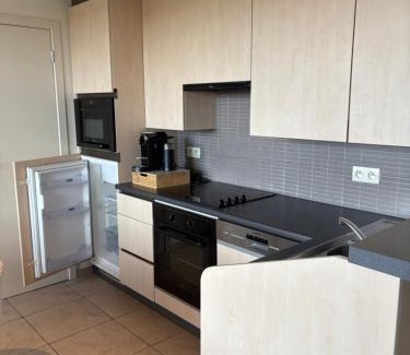 Nieuwpoort Apartment | Home Oceane