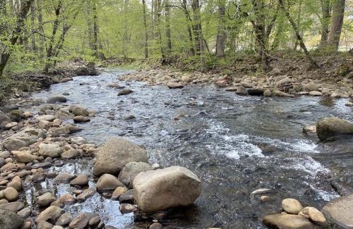 Cosby House | Home Sweet Home Cabin
