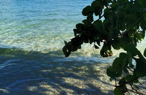 Quartier Desert Apartment | Homerez - 100 m away from the beach! Appartement for 2 ppl. with shared pool