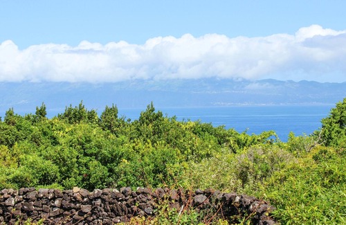 Baixa House | Homerez - Amazing house for 4 ppl. with sea view, garden and terrace at Baixa