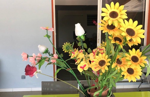 Sainte-Marie Apartment | Homerez - Appartement 10 km away from the beach with shared pool and spa