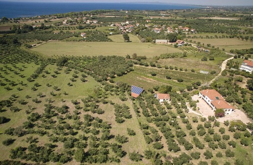 Skafidia Apartment | Homerez - Beautiful apartment With sea view and garden