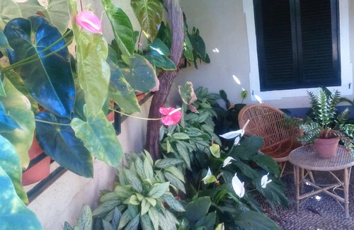 Gaula House | Homerez - Beautiful house for 4 ppl. with sea view and garden at Gaula