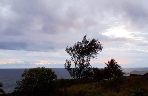 Saint-Pierre De La Reunion Apartment | Homerez - Beautiful apartment With sea view and garden