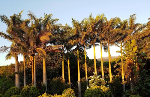 Saint-Benoit Villa | Homerez - Big villa 5 km away from the beach for 25 ppl. with swimming-pool