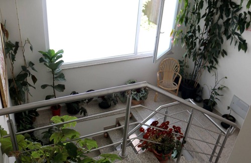 Lamego House | Homerez - Nice house for 6 ppl. with terrace at Lamego