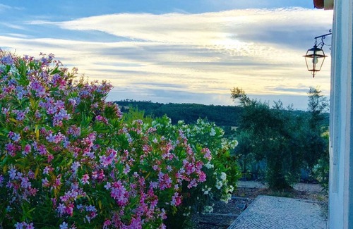 Pedrogao Villa | Homerez - Villa for 5 ppl. with shared pool and garden at Casais de Sao Bras