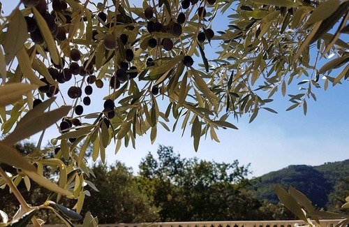 Claviers Villa | Homerez - Villa for 6 ppl. with swimming-pool, garden and terrace at Claviers