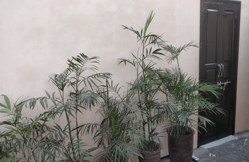Amritsar House | homestay near golden temple for group travellers