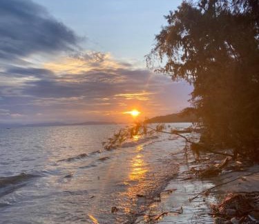 Co To House | Honey Homes CÔ TÔ