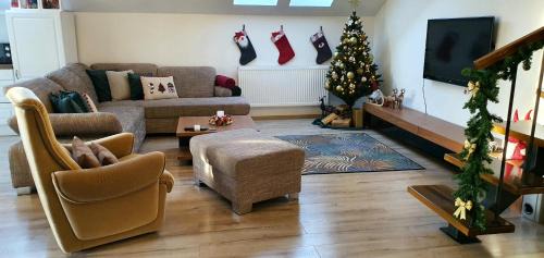 Tirgu Mures Apartment | Hoobee Home & Rooftop Terrace