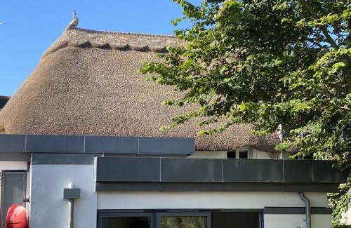 Malborough House | Hope Thatch