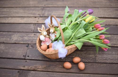 Odorheiu Secuiesc Bed & Breakfast | Horizont Panzio