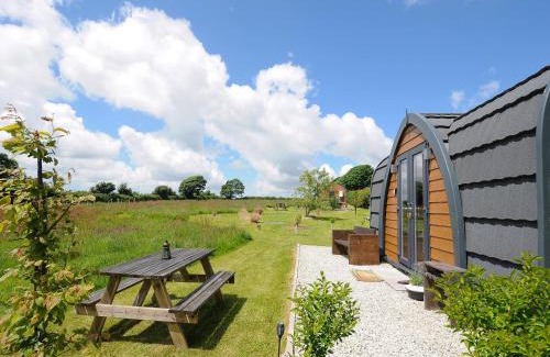 Laneast House | Hornbeam