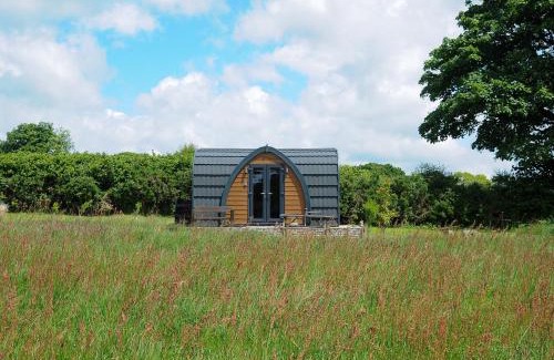 Laneast House | Hornbeam