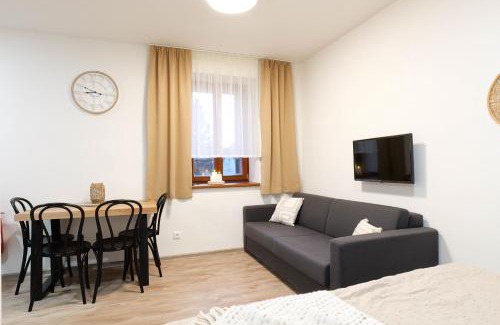 Loucna Pod Klinovcem Apartment | Horský klid Klínovec