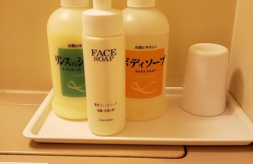 Ichihara Hotel | Hospitality In Yawatajuku