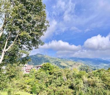 Salento House | Hostal Bamboo