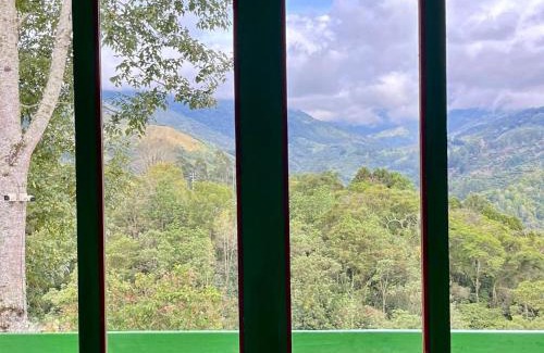 Salento House | Hostal Bamboo