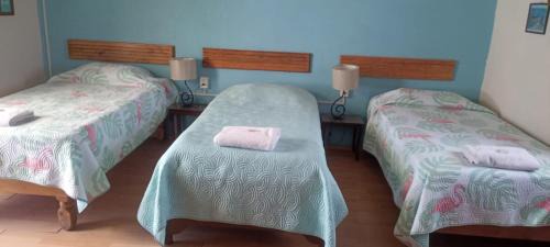 Zona Minerva House | Hostal don Felipe