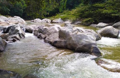 Canaveral House | Hostal Flor Tayrona