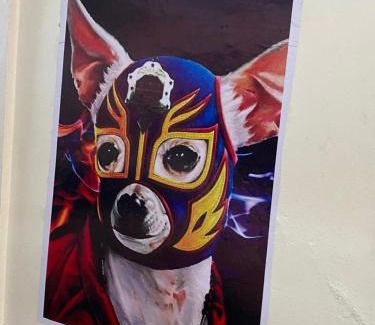 Oaxaca Bed & Breakfast | Hostal mil Mascaras 7