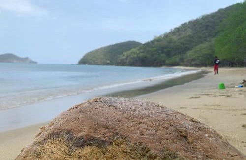 Santa Marta House | HOSTAL OLAS CLUB DE NEGUANJE -TAYRONA