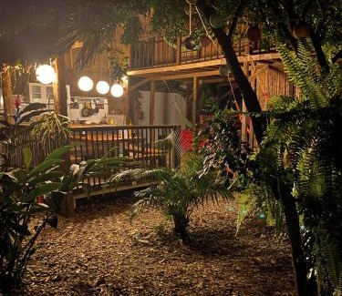 Palomino House | Hostal Zinpar