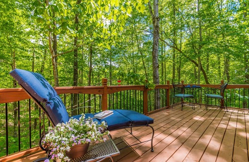 Dahlonega Apartment | ♨️Hot Tub🛏️King Bed🔥Fireplace 🍷Wineries🌲Oasis🥾Hike🌎Comfy🔥Fire Pit⛲Pond 🆒