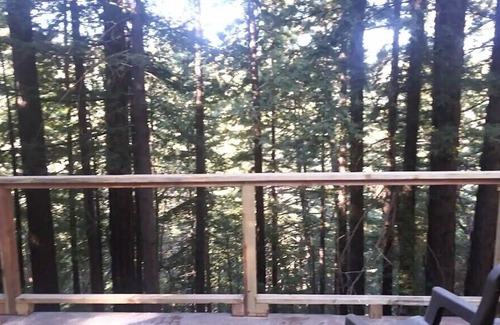 Los Gatos House | Hot tub treehouse in the redwoods