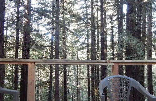 Los Gatos House | Hot tub treehouse in the redwoods