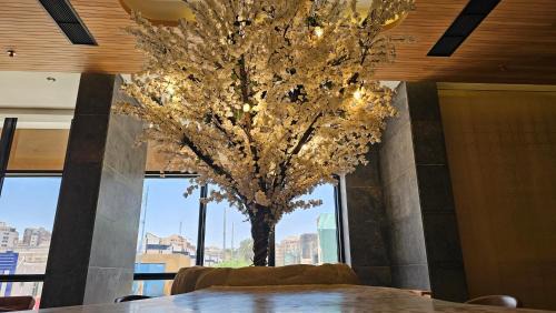 Marsa Matruh Hotel | Hotel 59