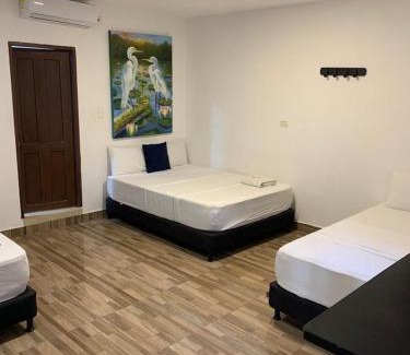 Arboletes Hotel | Hotel Agroturistico Palma Vino