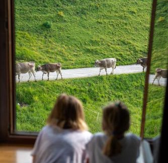 Tauplitzalm Hotel | Hotel Alpen Arnika