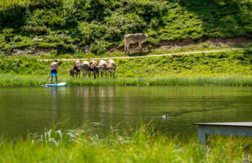 Tauplitzalm Hotel | Hotel Alpen Arnika