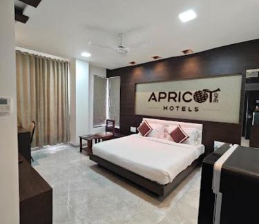 Udaipur District Hotel | Hotel Apricot One - Udaipur